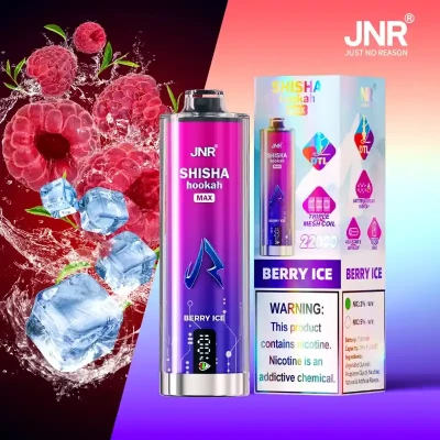 Berry ice | Shisha Max 22K Puffs Disposable Vape